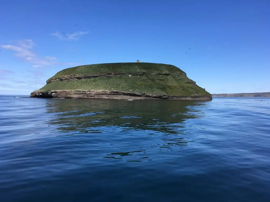 fotózás, Kaland, lunda, madarak, Nagy-Britannia, sziget, természet, természetvédelem, utazás, vadvilág