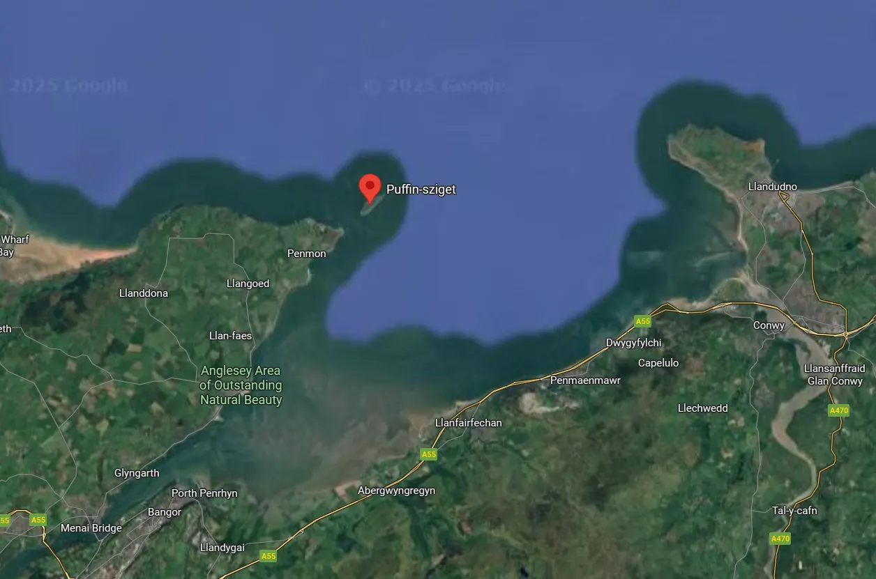 fotózás, Kaland, lunda, madarak, Nagy-Britannia, sziget, természet, természetvédelem, utazás, vadvilág