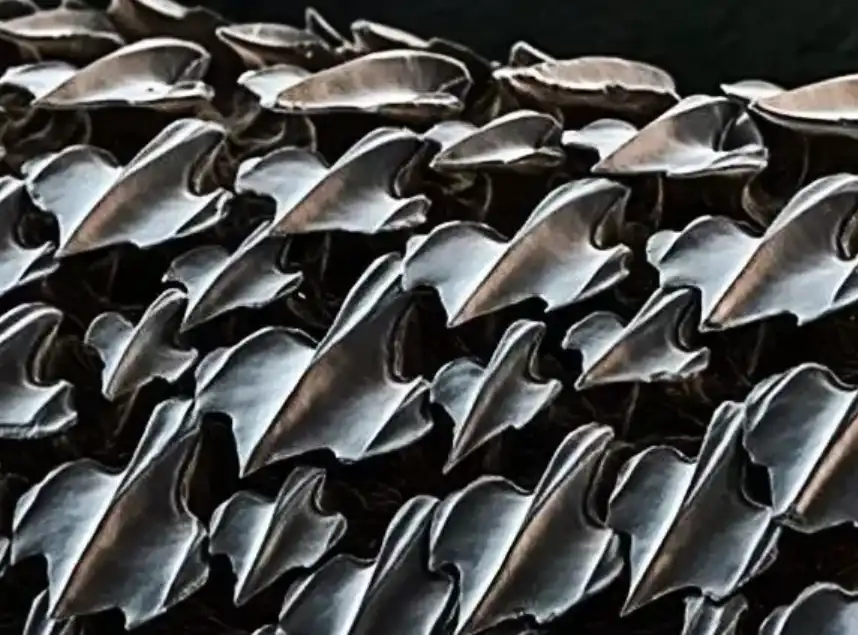 anyagtudomány, bionika, felfedezés, mikroszkóp, mikrovilág, nanotechnológia, szerkezet, technológia, természet, tudomány