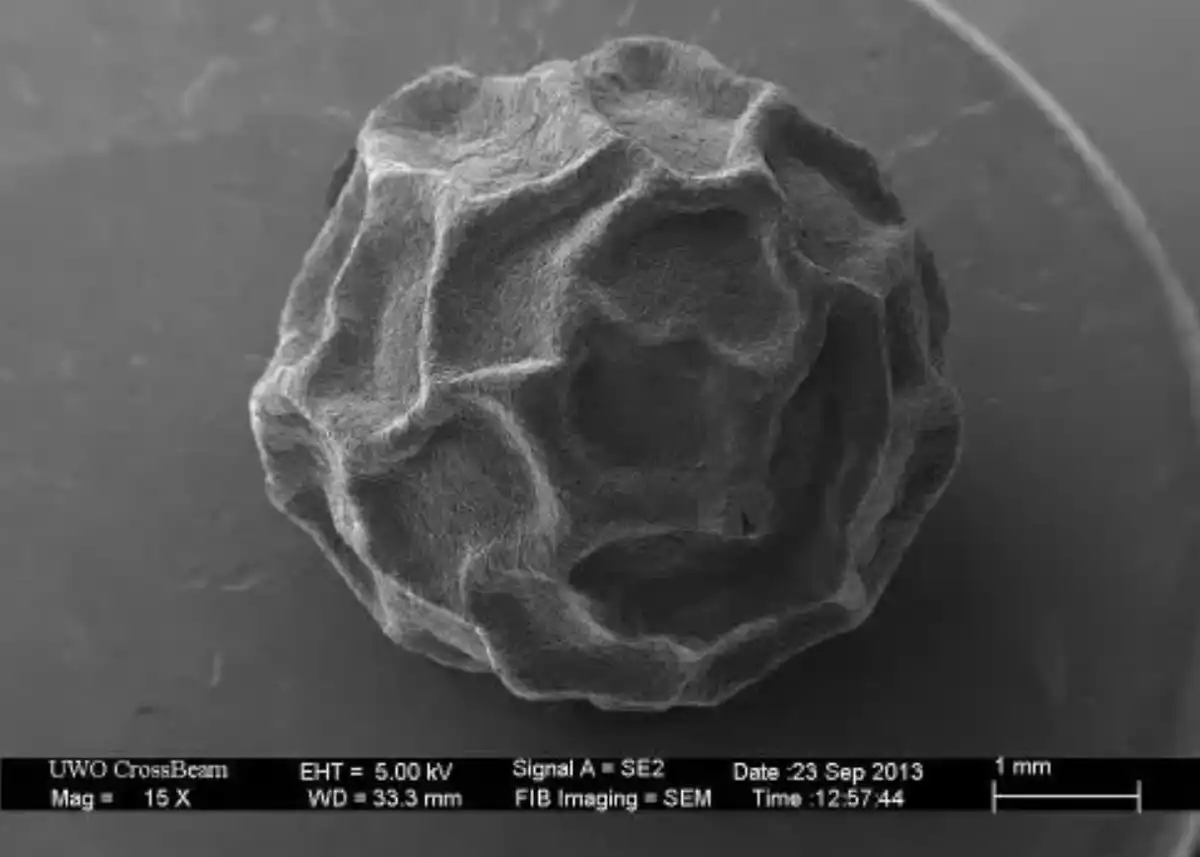 anyagtudomány, bionika, felfedezés, mikroszkóp, mikrovilág, nanotechnológia, szerkezet, technológia, természet, tudomány